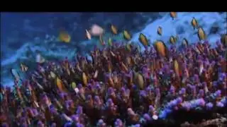 Why the Ocean Matters