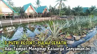 D' Putri Resort Pulau Sebatik, Penginapan Keluarga Hanya Rp550.000/ Malam