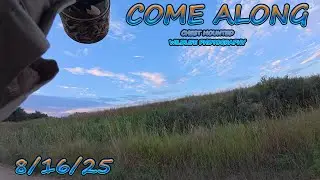 Walking the trail - Bird Photography POV