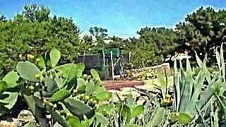 Einfach nur Impressionen von Formentera in den 70er Jahren