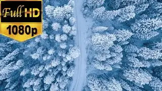 Зимний сток-видео | Бесплатное HD-видео &mdash; без авторских прав