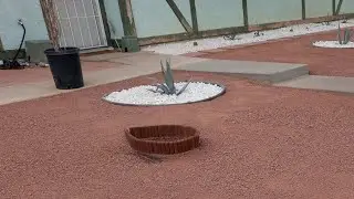 Concrete Steps for slope | Front Yard Desert Landscaping Ideas Pt 4