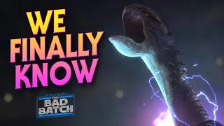 We FINALLY Know What Happened to the Zillo Beast!