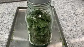 Compact Mason Jar Vacuum Sealer!