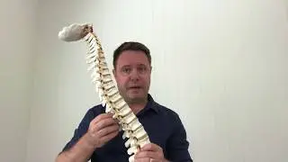 Dr Scott Baxter Osteopath talks about upper back or thoracic pain and how osteopathy can help.