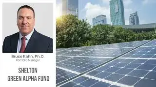 From the Archives: Shelton Green Alpha Fund NEXTX Update