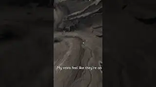 NEVER Bring Your Pet into Battle in Grounded