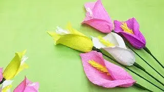 Cách Làm Hoa Rum Bằng Giấy Nhún Cực Nhanh Mà Đẹp