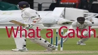 cricket's most unexpected catches - accidental catches