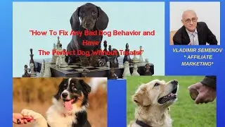 #dog #animal Brain Training For Dogs - Unique Dog Training Course!