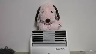 Nikon Z9 + RODE VideoMic Go : Effect of DeadCat Go