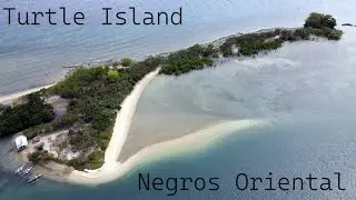 Turtle Island, Negros Oriental, Philippines