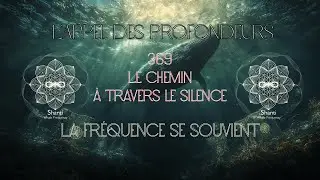 🕯️L&rsquo;Appel des profondeurs &ndash; 369 &middot; Le chemin 🐋#369 #333 #666 #999 #amour #fr&eacute;quence #lumi&egrave;re #code