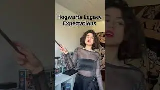 Hogwarts Legacy Expectations vs. Reality