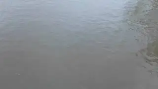 Marilenka