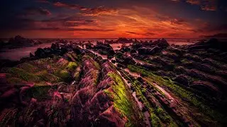 Брик 🧱 Леди-мошенницы, критикуют чернокожих мужчин, феминизм подвел чернокожих женщин!!!!