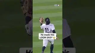Volpe with a Willie Mays basket catch #volpe #mlb #yankees