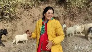 New year, new beginnings blessed by kujapuri Mata #youtube #kuki ki duniya 