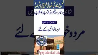 National University of Modern Languages NUML Lahore Campus 2024 | Lecturer Jobs 2024