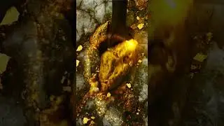 Nature&rsquo;s hidden treasure You won't believe what&rsquo;s under this dirt! #shorts