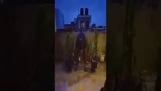 110 Kg Deadlift in Rain 🦾