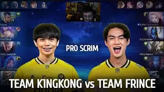 TEAM K1NGKONG vs TEAM SUPER FRINCE | PRO PLAYERS SCRIM WITH WOLFCASTS