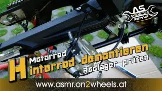 ➤ HINTERRAD AUSBAUEN MOTORRAD + RADLAGER PRÜFEN Triumph Tiger 800