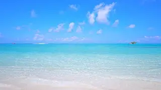 Paradise Found: Turquoise Ocean Water and Wild Beach! Maldives 4K ULTRA HD