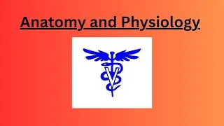 Define anatomy and physiology #anatomy #physiology #biophysics #biochemical #veterinary #bvscah #dvm