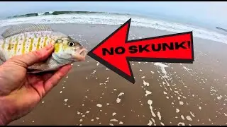 No Skunk! Landing One Fish to Break My Streak!