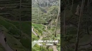 Iconic Bali Swing 🤩 #shorts #viral #dutyfree #bali #travel #india #ubud #indonesia #indiancouple