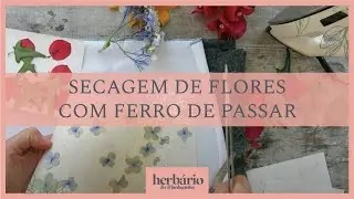 Secagem de flores com ferro de passar