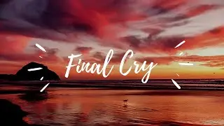 Final Cry - Densi (Official Audio) #dj #dance #music