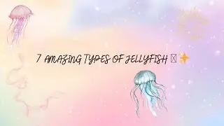 7 AMAZING TYPES OF JELLYFISH 🪼✨ | The Ultimate Deep Sea Guide