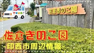 【佐倉市】体験型!佐倉きのこ園できのこ狩りをしてみました♪