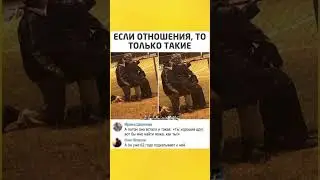 #юмор #шуточное #прикол #смешновидео #смехпродлеваетжизнь