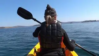 Приморский край, остров Попова 2019