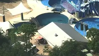 SeaWorld Orlando, Busch Gardens Tampa Reopen