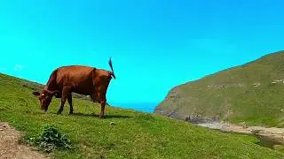Beautiful beaches in  Cornwall , High Cliff,  Crackington heaven  and Duckpool beach   Uk