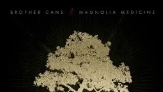 BROTHER CANE TO RELEASE NEW ALBUM MAGNOLIA MEDICINE IN APRIL 2026/ IF THIS MEANS WAR (SONG REVIEW)