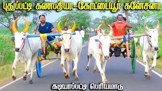 1கடியாபட்டி-25.000ஆயிரம்-பந்தயம்16.01.2025