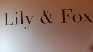 Lily and Fox nail wrap review and unboxing!
