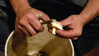 How to clean Slippery Jacks (Suillus)