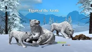 Tigers of the Arctic -The Movie-  By Wild Foot Games Role Playing - iTunes/Android
