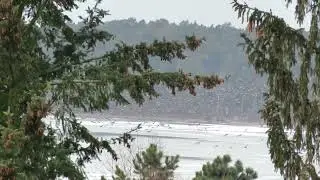 24/02 Walka kaczek o wodę (z mrozem)