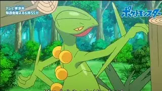 Ash's Sceptile return of Pokemon Journey Episode 129 #pokemonjourneys #pokemonjourneysnewupdate