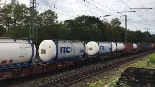 Zugsichtungen Sept 2020 bis Feb 2021