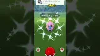 MAREEP COMMUNITY DAY RANDOM SHUNDO #POKEMON #POKEMONGO #SHUNDO #shinypokemon #SHINY