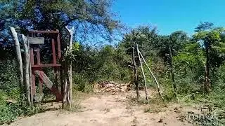15 de junho de 2025