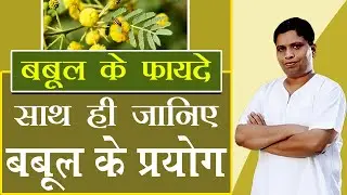 बबूल (Acacia) के फायदे साथ ही जानिए बबूल  के प्रयोग | Acharya Balkrishna
